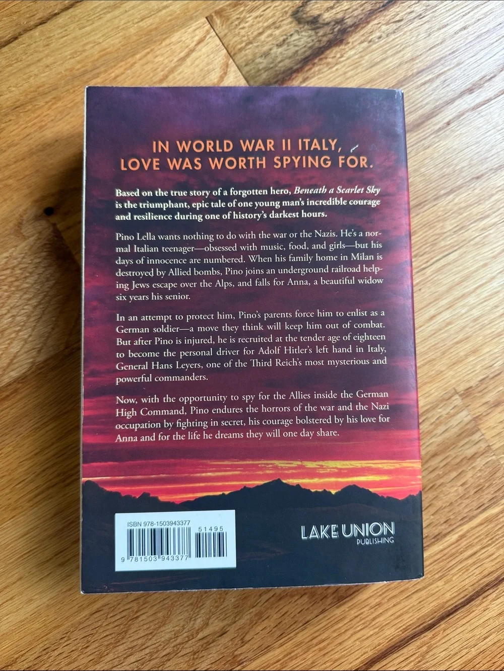 Historical fiction book bundle
